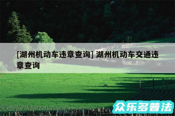 及湖州机动车违章查询 湖州机动车交通违章查询