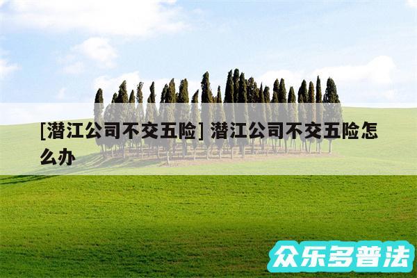 及潜江公司不交五险 潜江公司不交五险怎么办