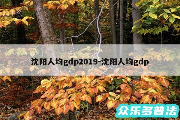 沈阳人均gdp2019-沈阳人均gdp