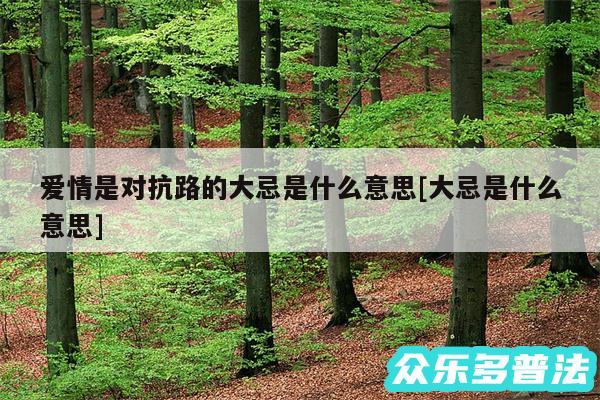 爱情是对抗路的大忌是什么意思及大忌是什么意思