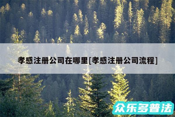 孝感注册公司在哪里及孝感注册公司流程