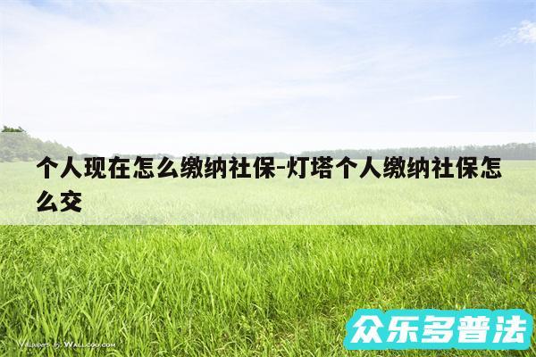 个人现在怎么缴纳社保-灯塔个人缴纳社保怎么交