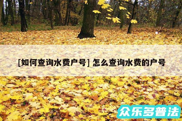 及如何查询水费户号 怎么查询水费的户号
