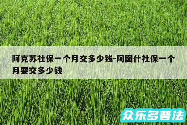 阿克苏社保一个月交多少钱-阿图什社保一个月要交多少钱