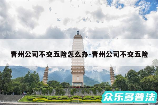 青州公司不交五险怎么办-青州公司不交五险
