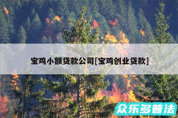 宝鸡小额贷款公司及宝鸡创业贷款