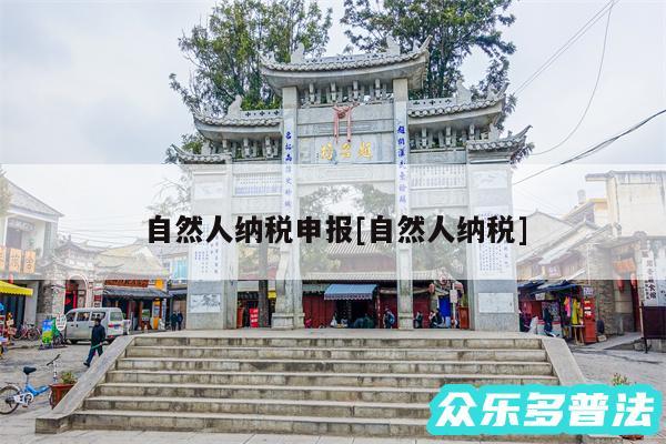 自然人纳税申报及自然人纳税