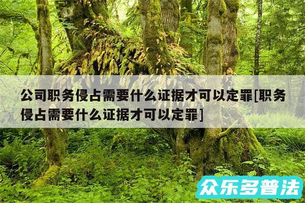 公司职务侵占需要什么证据才可以定罪及职务侵占需要什么证据才可以定罪
