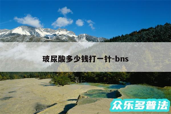 玻尿酸多少钱打一针-bns