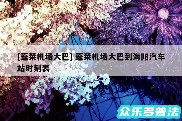 及蓬莱机场大巴 蓬莱机场大巴到海阳汽车站时刻表