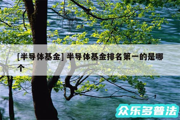 及半导体基金 半导体基金排名第一的是哪个