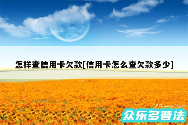 怎样查信用卡欠款及信用卡怎么查欠款多少
