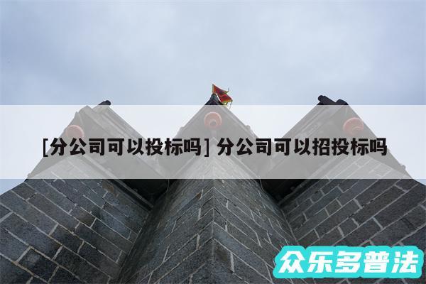 及分公司可以投标吗 分公司可以招投标吗