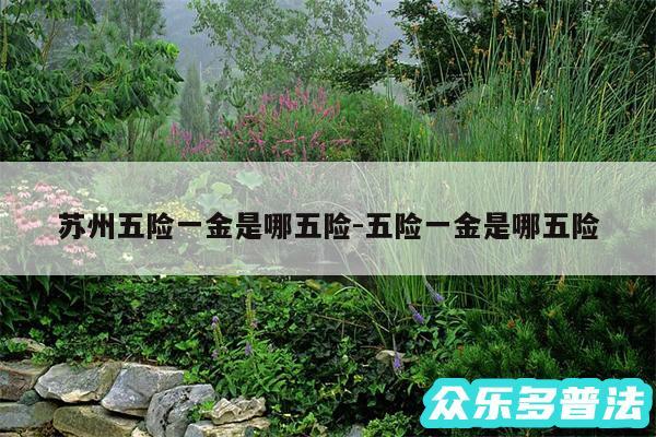 苏州五险一金是哪五险-五险一金是哪五险
