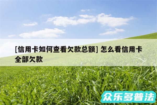 及信用卡如何查看欠款总额 怎么看信用卡全部欠款