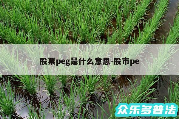 股票peg是什么意思-股市pe