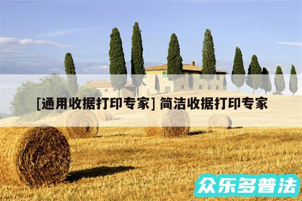 及通用收据打印专家 简洁收据打印专家