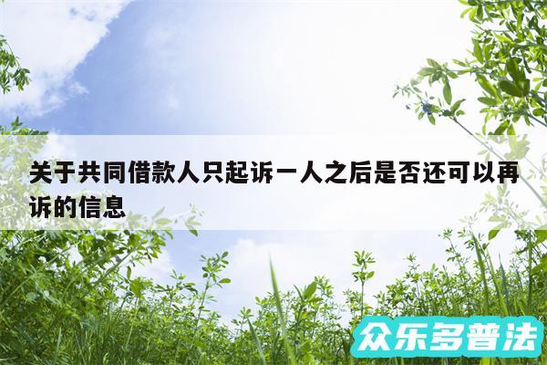 关于共同借款人只起诉一人之后是否还可以再诉的信息