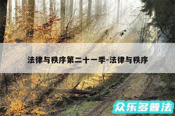 法律与秩序第二十一季-法律与秩序