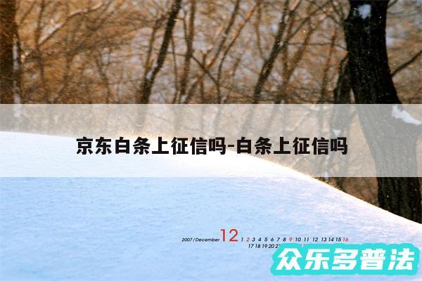 京东白条上征信吗-白条上征信吗