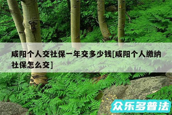 咸阳个人交社保一年交多少钱及咸阳个人缴纳社保怎么交