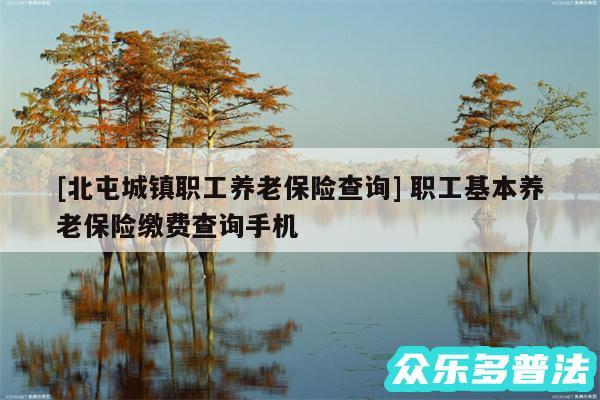 及北屯城镇职工养老保险查询 职工基本养老保险缴费查询手机