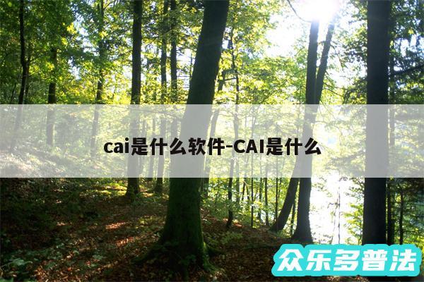 cai是什么软件-CAI是什么