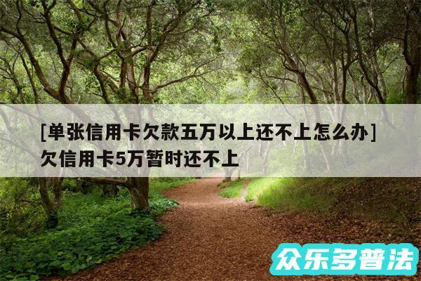 及单张信用卡欠款五万以上还不上怎么办 欠信用卡5万暂时还不上