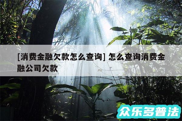 及消费金融欠款怎么查询 怎么查询消费金融公司欠款