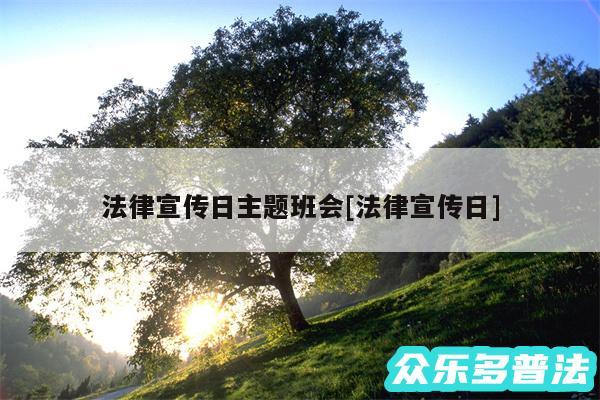 法律宣传日主题班会及法律宣传日