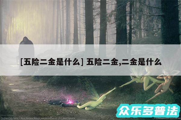 及五险二金是什么 五险二金,二金是什么