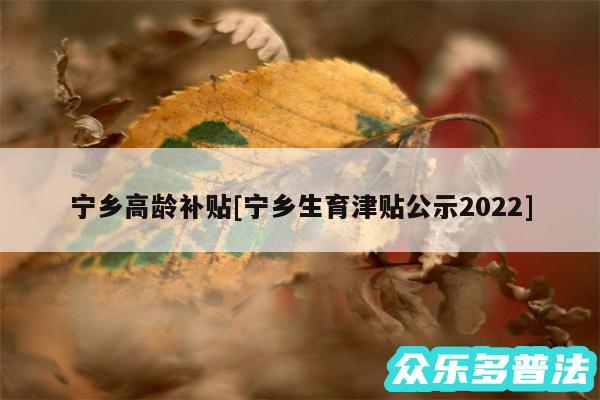 宁乡高龄补贴及宁乡生育津贴公示2024