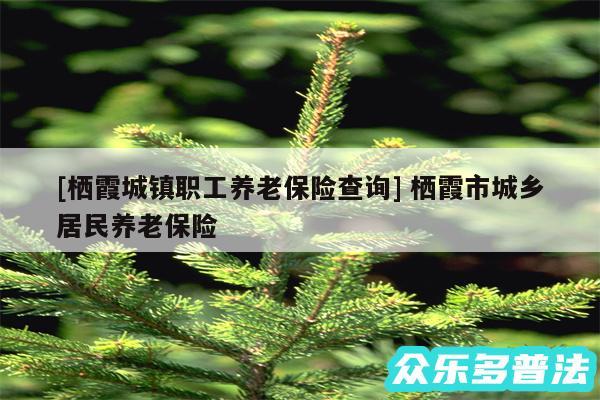 及栖霞城镇职工养老保险查询 栖霞市城乡居民养老保险