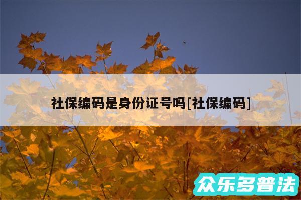 社保编码是身份证号吗及社保编码
