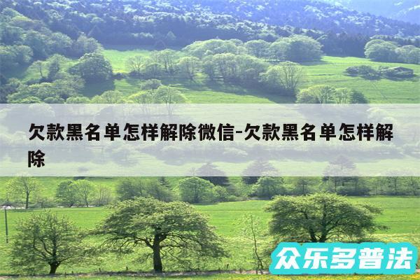 欠款黑名单怎样解除微信-欠款黑名单怎样解除