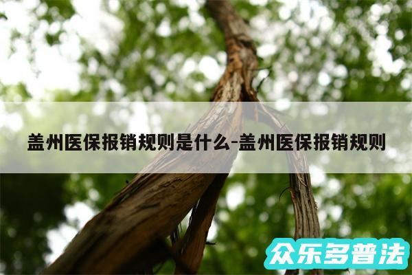 盖州医保报销规则是什么-盖州医保报销规则