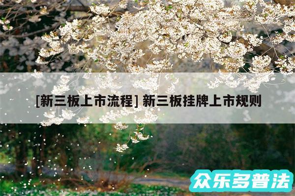 及新三板上市流程 新三板挂牌上市规则