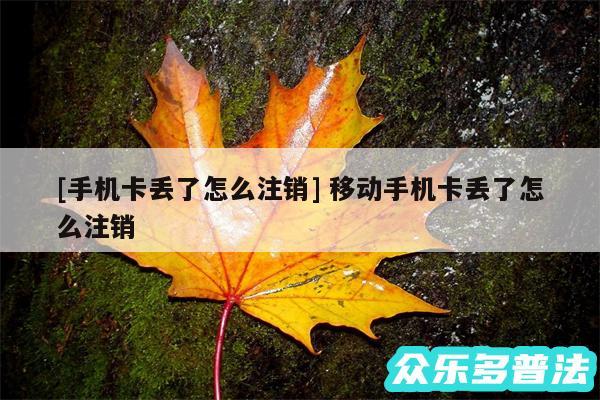 及手机卡丢了怎么注销 移动手机卡丢了怎么注销