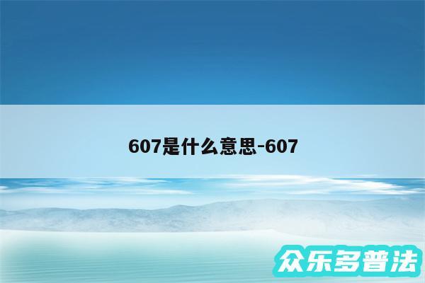 607是什么意思-607