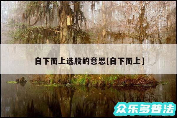 自下而上选股的意思及自下而上