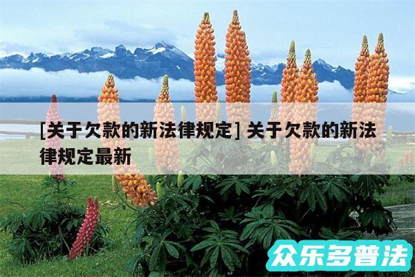 及关于欠款的新法律规定 关于欠款的新法律规定最新
