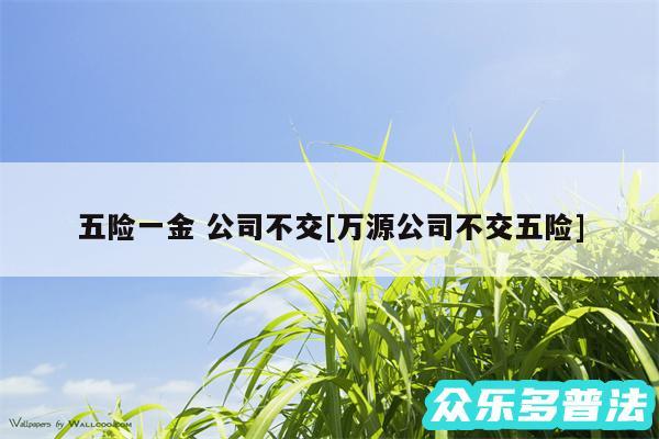 五险一金 公司不交及万源公司不交五险