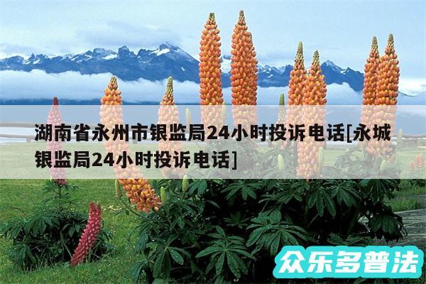 湖南省永州市银监局24小时投诉电话及永城银监局24小时投诉电话