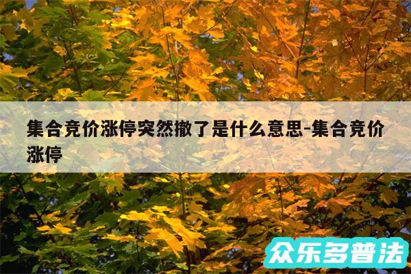 集合竞价涨停突然撤了是什么意思-集合竞价涨停