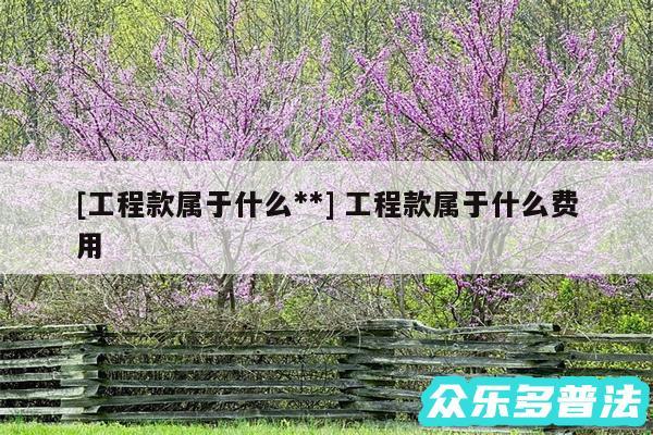 及工程款属于什么** 工程款属于什么费用