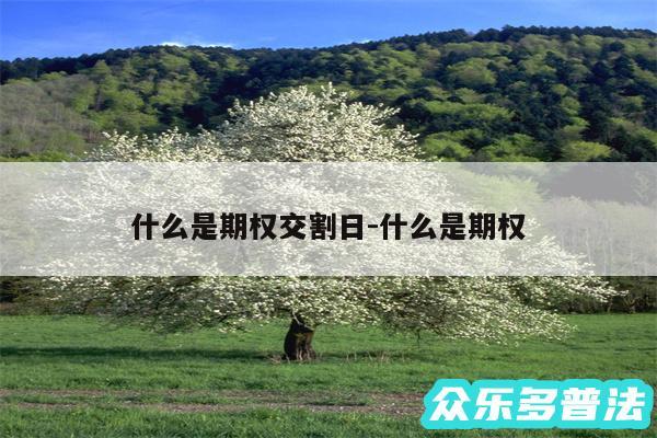 什么是期权交割日-什么是期权