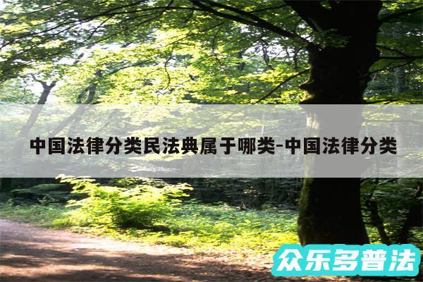 中国法律分类民法典属于哪类-中国法律分类