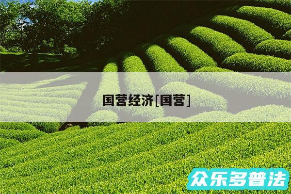 国营经济及国营