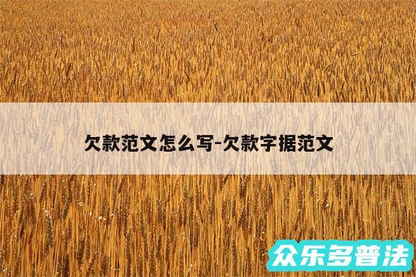 欠款范文怎么写-欠款字据范文