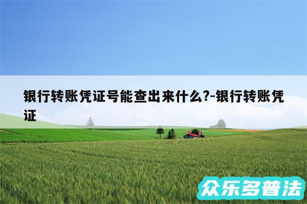 银行转账凭证号能查出来什么?-银行转账凭证